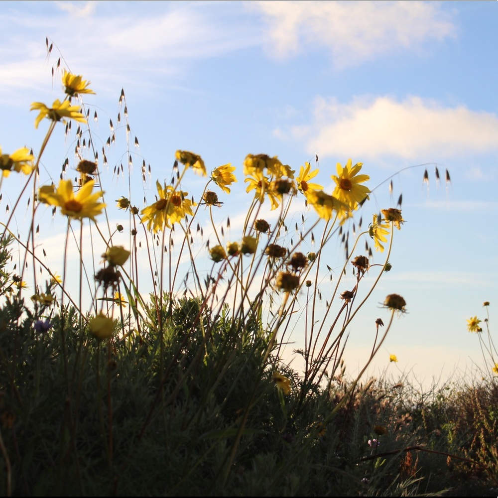 Meet your Posher, Riya